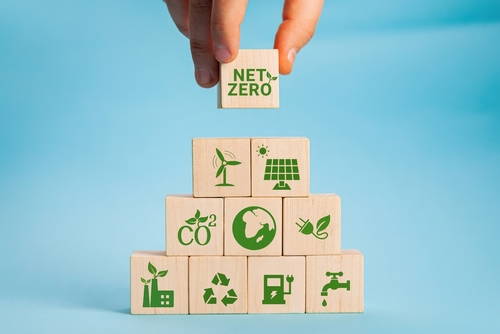 Role of local Government in Net Zero 'overlooked'