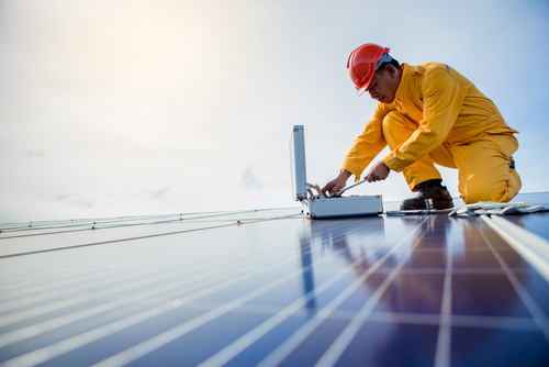 Future of Green Skills in Sussex