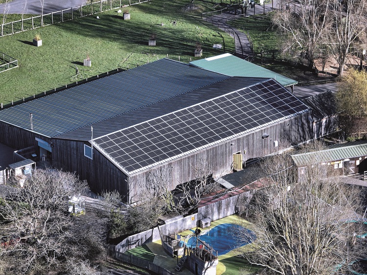 Case study: AJ Taylor's launchpad for renewables success