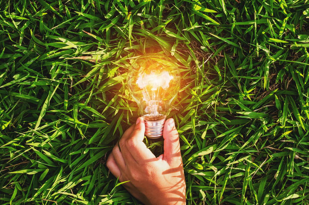 Gov't report busts 23 Net Zero myths 